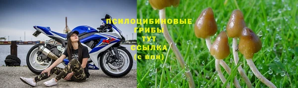PSILOCYBIN Володарск
